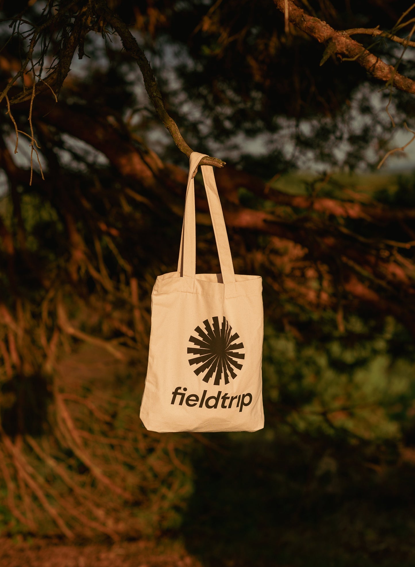 Field Trip - Tote bag